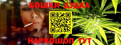 крисы Кудымкар