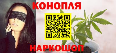 крисы Кудымкар