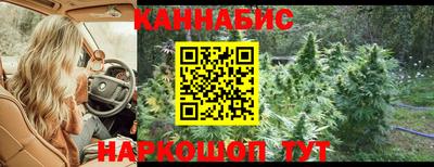 гидра Лениногорск