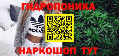 крисы Кудымкар