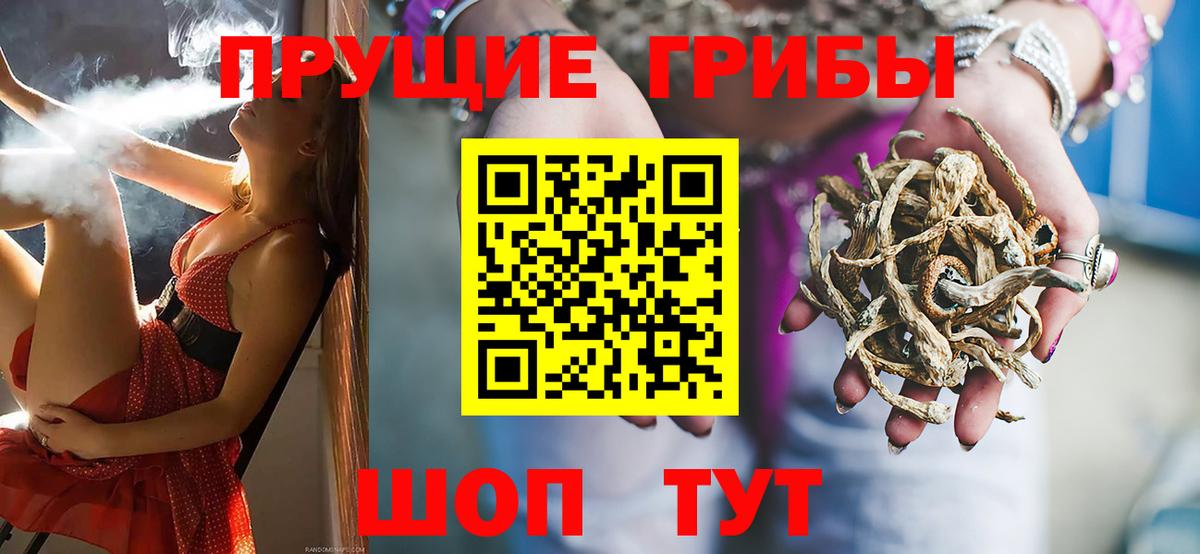 Псилоцибиновые грибы мухоморы Карачаевск