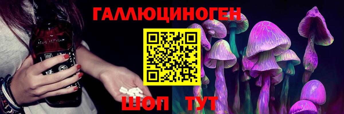 Карачаевск  Галлюциногенные грибы ЛСД  Вход с VPN  Псилоцибиновые грибы Psilocybe 